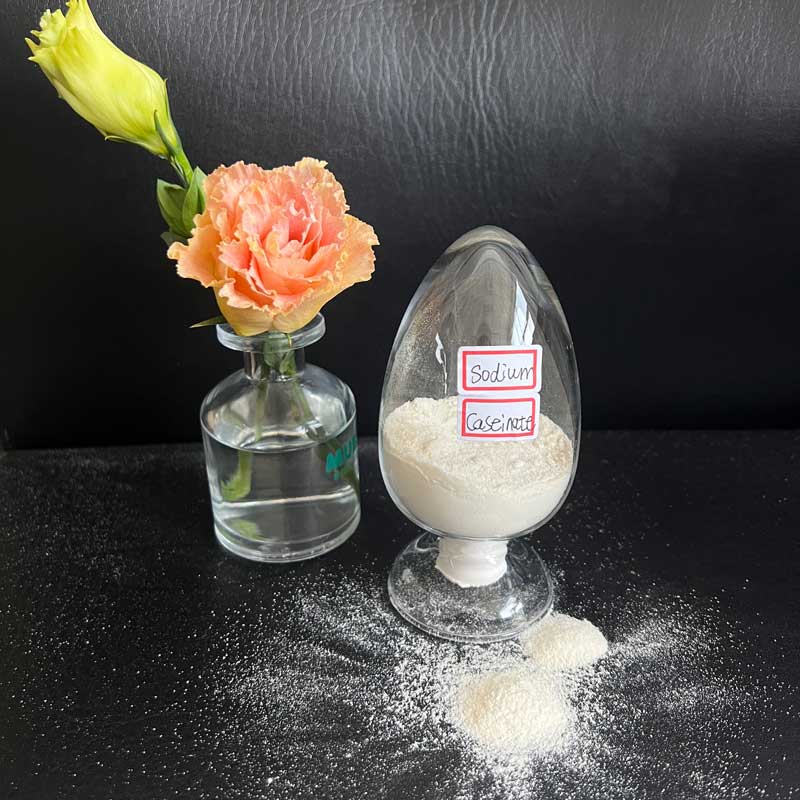 Sodium Caseinate